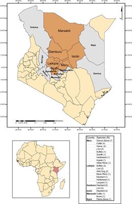 Metagenomic Investigation of Ticks From Kenyan Wildlife Reveals Diverse Microbial Pathogens and New Country Pathogen Records